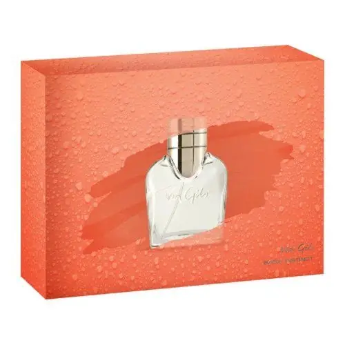 Van Gils Basic Instinct EdT 40ml + Deostick 75ml Gift Set - Under begränsad tid